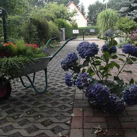 Pension-eula 게스트하우스