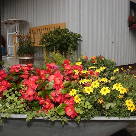 Pension-eula 보르나