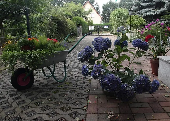 Pension-eula Guest house