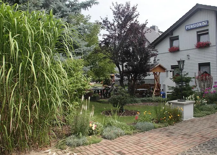 Guest house Pension-eula 3*