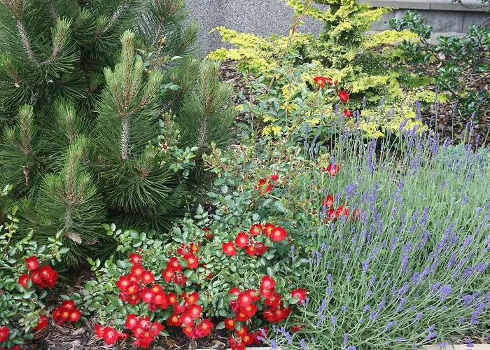 Pension-eula 3* Borna